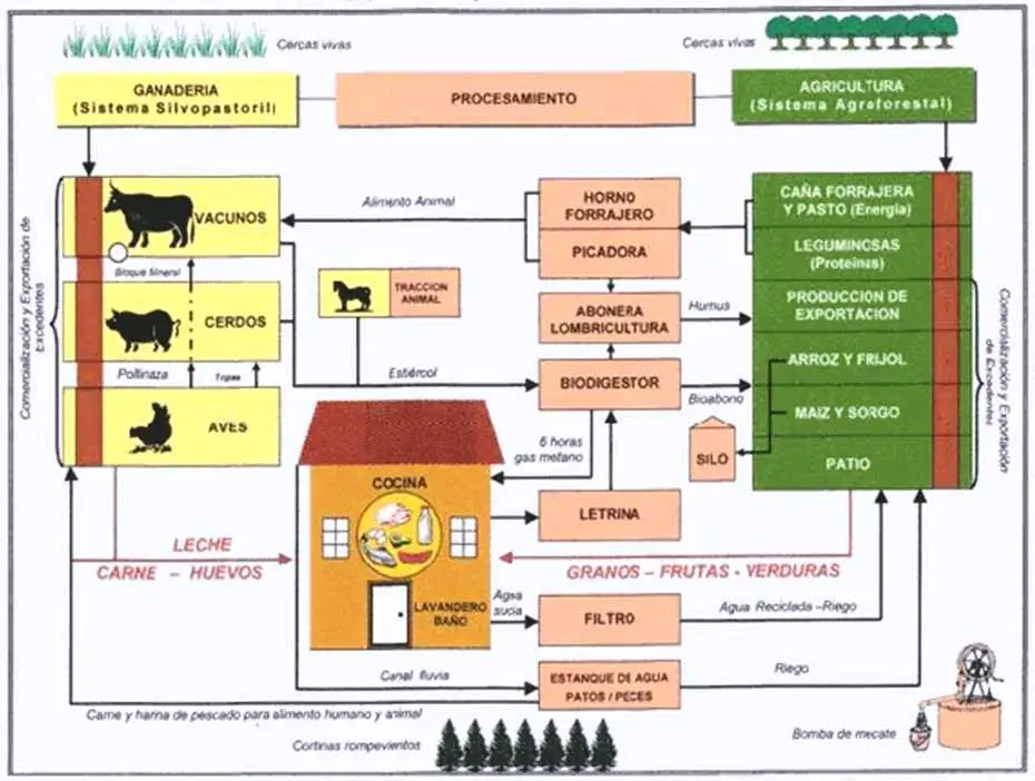 Componentes de una Granja Integral