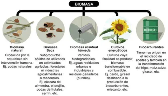 tipos de biomasa