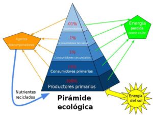 granja integral - granja integral autosuficiente