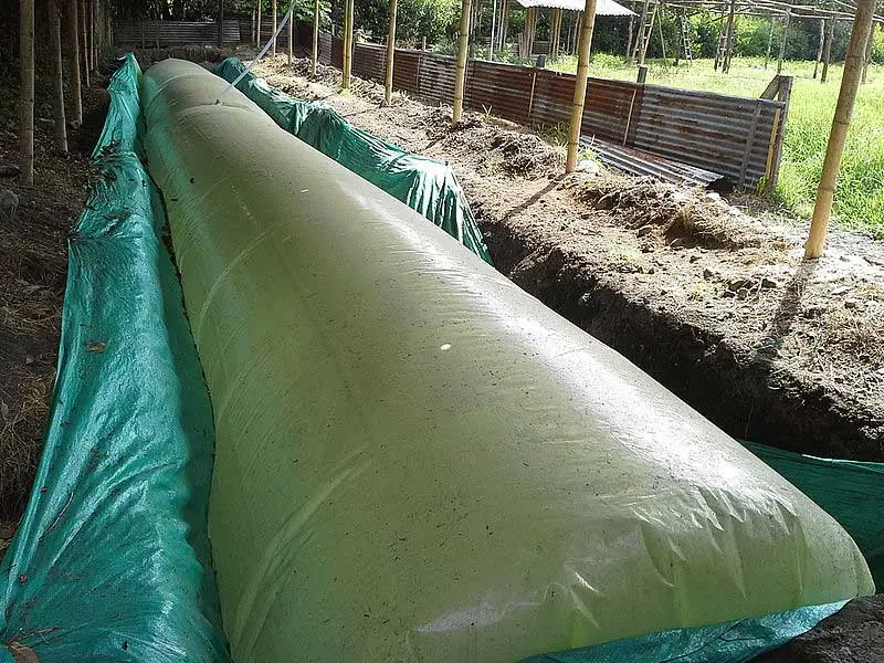Biodigestor en granja integral
