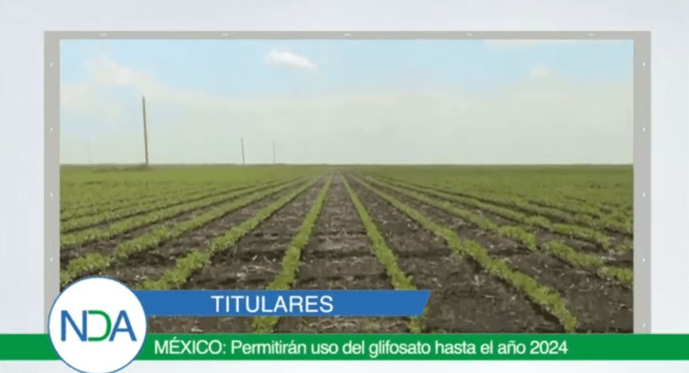 Prohibición de glifosato en México