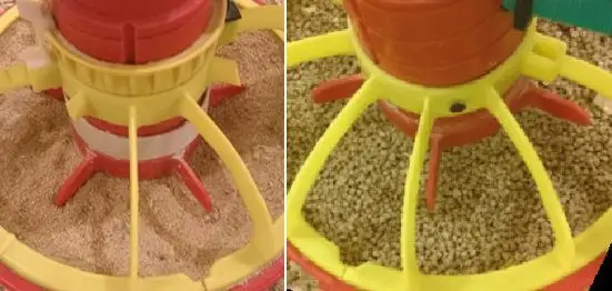 comederos de pavos con diferentes tipos de alimentos