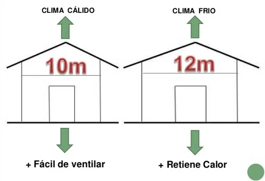 galpon de pavos
