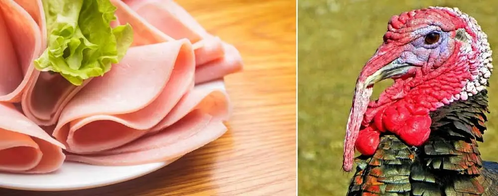 jamón de pavo
