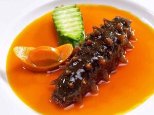 pepino de mar - pepino de mar comida