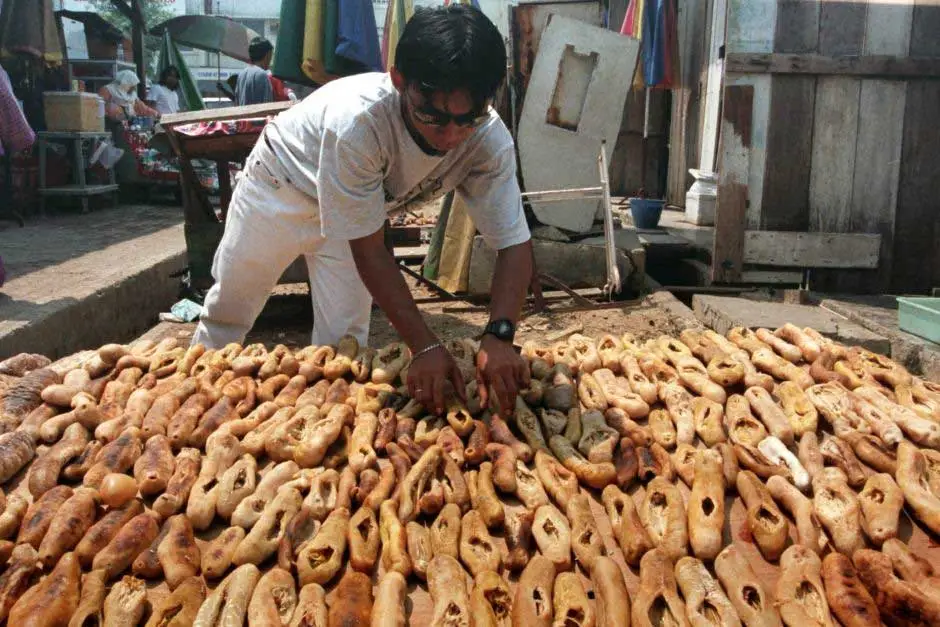 venta de pepinos de mar