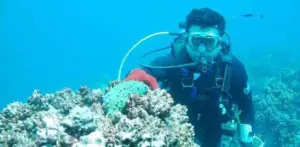 pepino de mar - habitat del pepino de mar