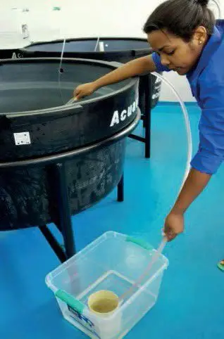 filtrado de agua de cultivo