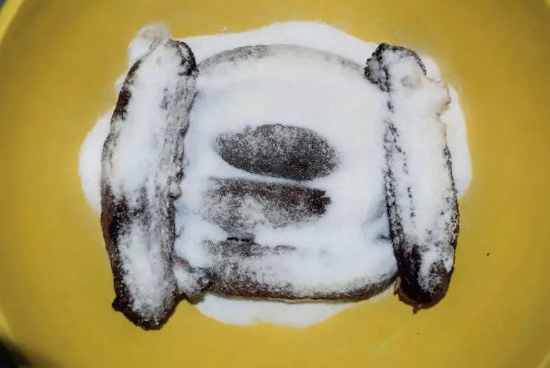 salado de pepinos de mar
