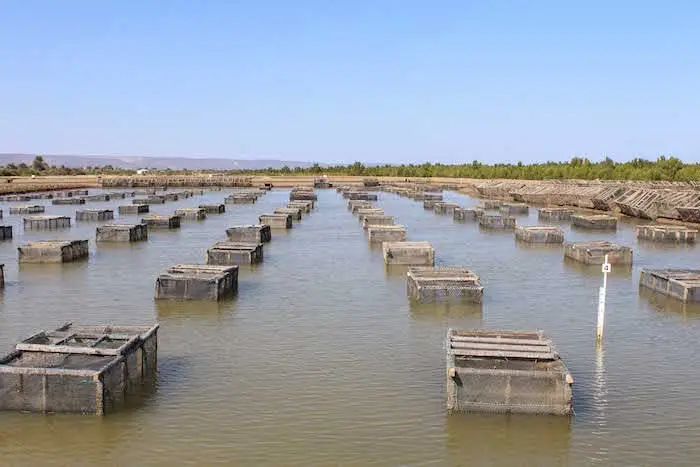 jaulas de cultivo en acuicultura 