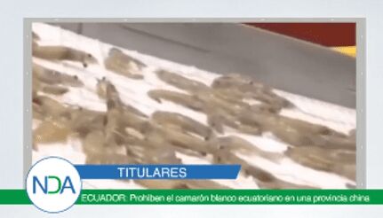 Titulares: Prohíben el camarón blanco ecuatoriano en una provincia china