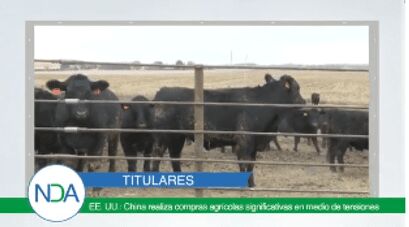 Titulares: China realiza compras agrícolas a EEUU en medio de tensiones
