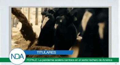 Titulares: La pandemia acelera cambios en el sector lechero, aumentan exportaciones de carne