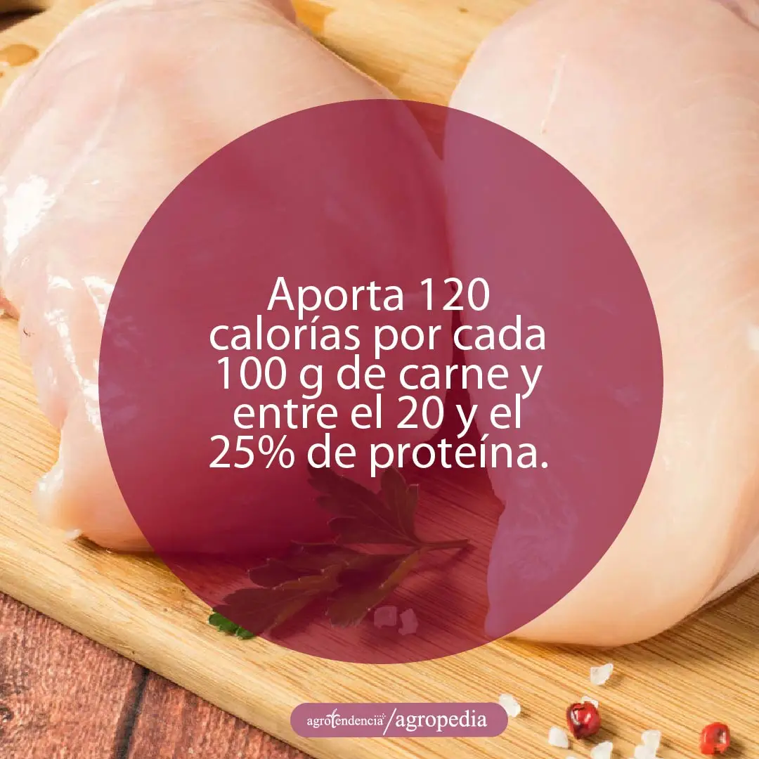pechugas de pavo