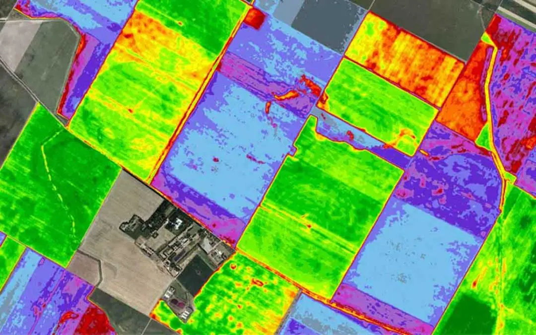 Imagen NDVI