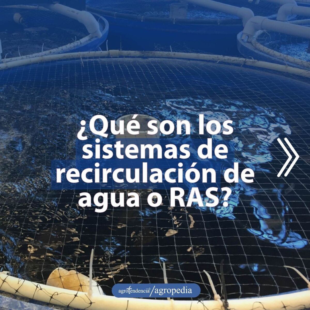 acuicultura - sistemas de recirculación para la acuicultura