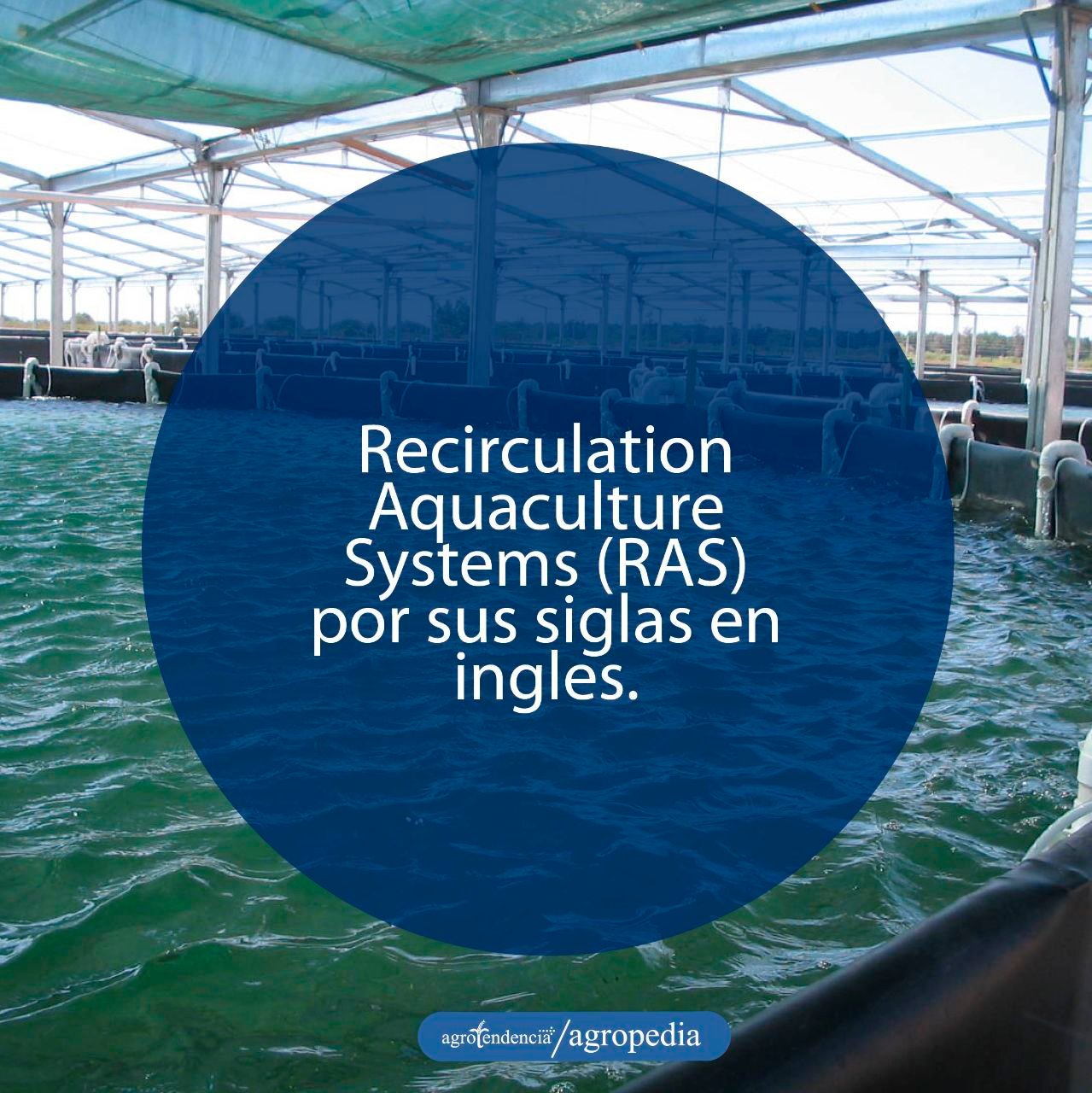 acuicultura - sistemas de recirculación para la acuicultura