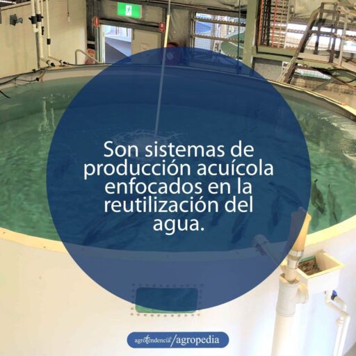 acuicultura - sistemas de recirculación para la acuicultura