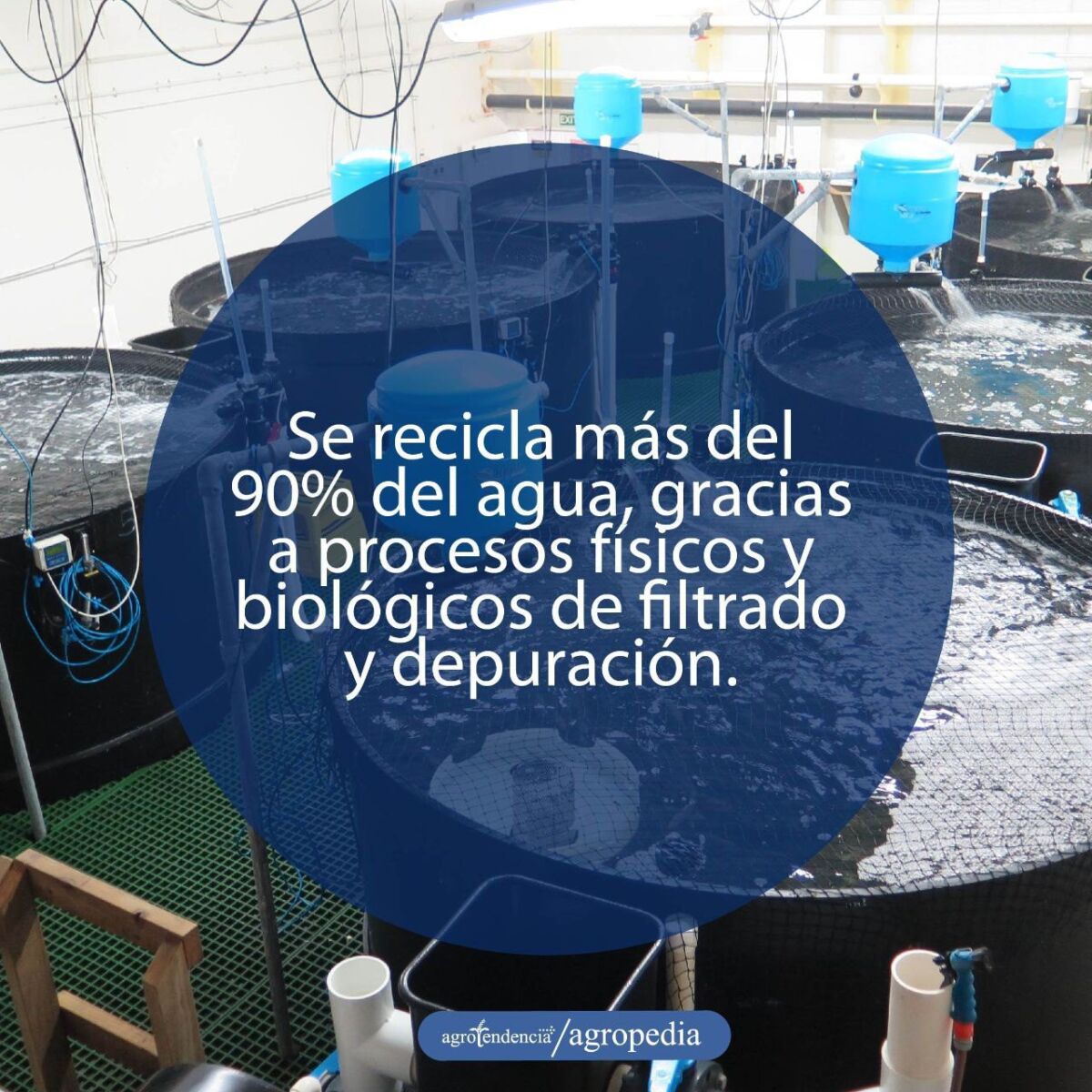acuicultura - sistemas de recirculación para la acuicultura
