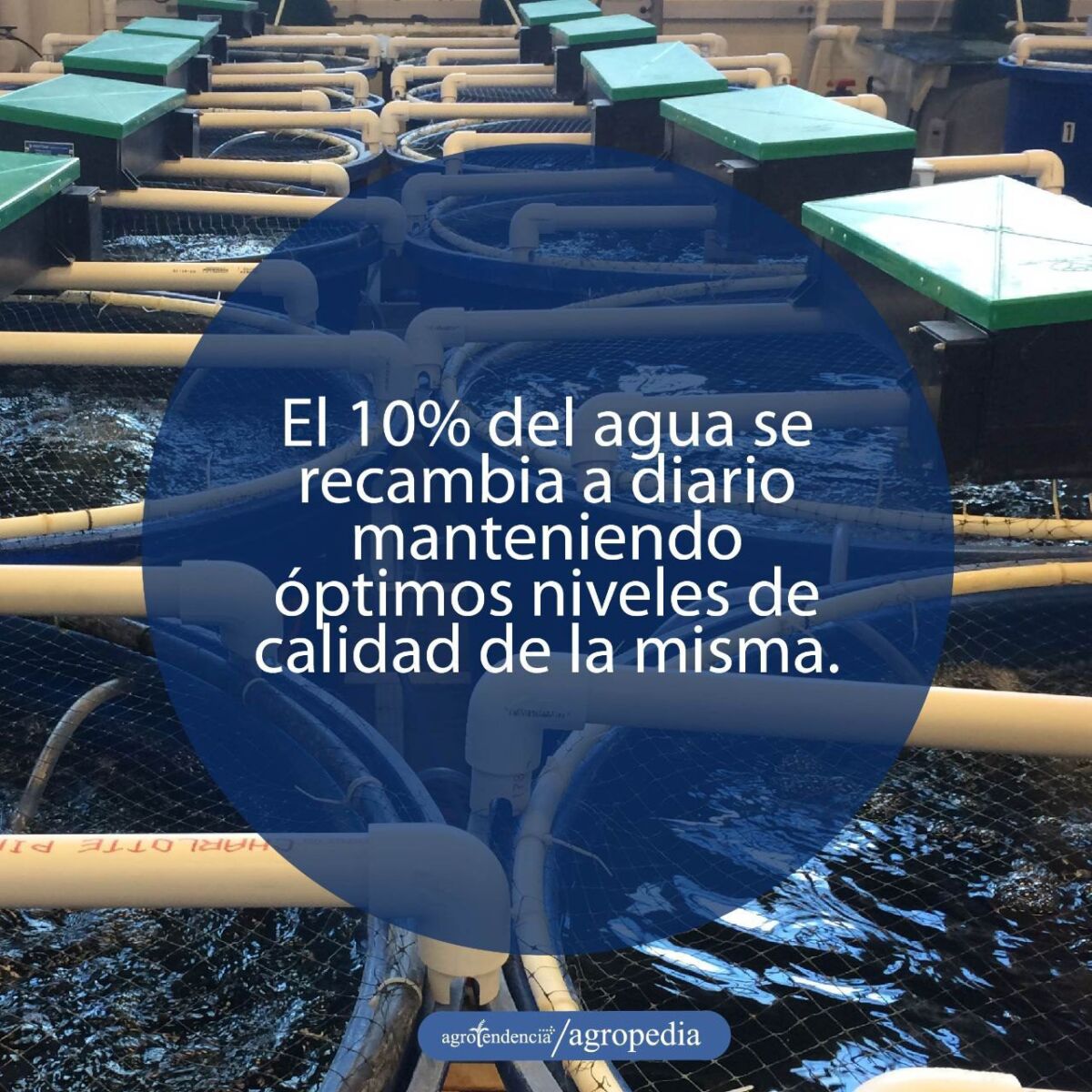 acuicultura - sistemas de recirculación para la acuicultura