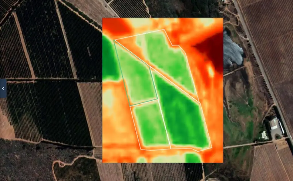 imagen saltélital de cultivo