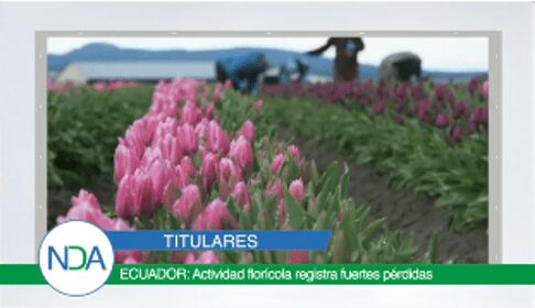 noticias del agro