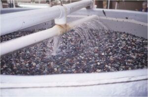 acuicultura -sistema de recirculación de agua en acuicultura