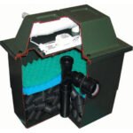 acuicultura -sistema de recirculación de agua en acuicultura