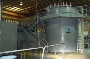 acuicultura -sistema de recirculación de agua en acuicultura
