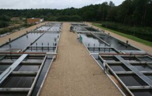acuicultura - sistema de recirculación de agua en acuicultura