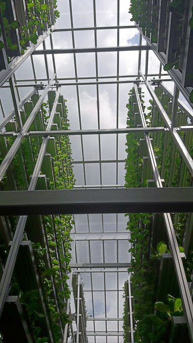 Paneles de cristal en granja vertical