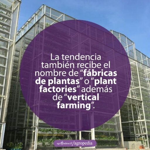 granjas verticales en invernaderos gigantes