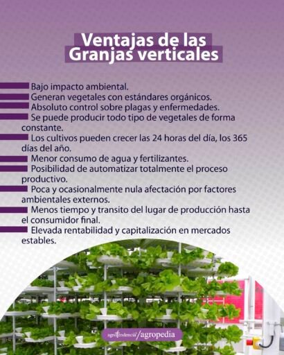 bandejas en estantes dentro de una granja vertical