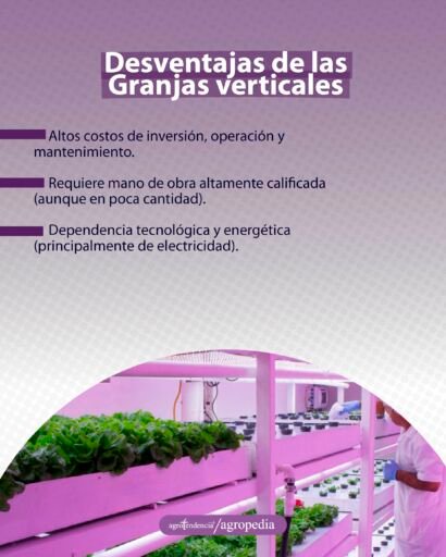 científico evaluando plantas dentro de una granja vertical