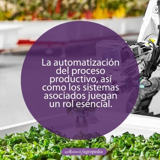 mano robotica tomando planta dentro de una granja vertical