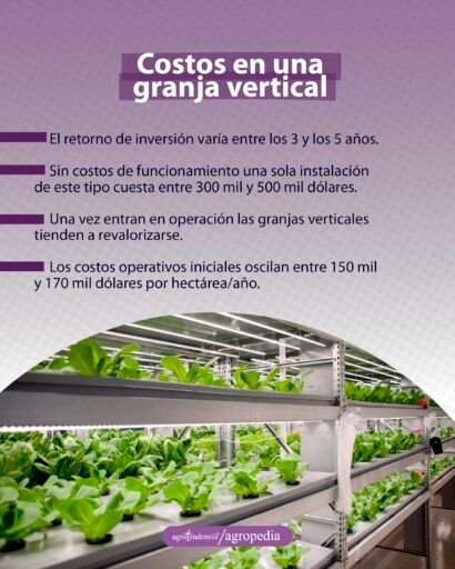 granja vertical con estantes y con bandejas sembradas con plántulas de lechuga