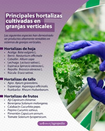 manos con guantes tocabdo una hoja dentro de una granja vertical