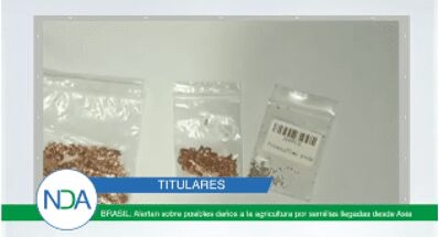 Titulares: Acuerdos y efectos en el mercado agrícola ante la pandemia