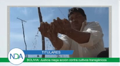 Titulares: Cultivos transgénicos, mercado de café, plagas y más.