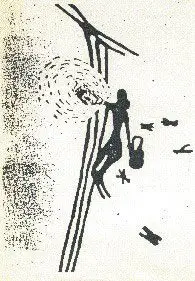 mujer castrando abejas apicultura