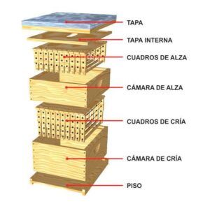 apicultura - equipos para apicultura