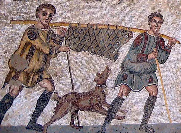 historias-del-cerdo-a-campo