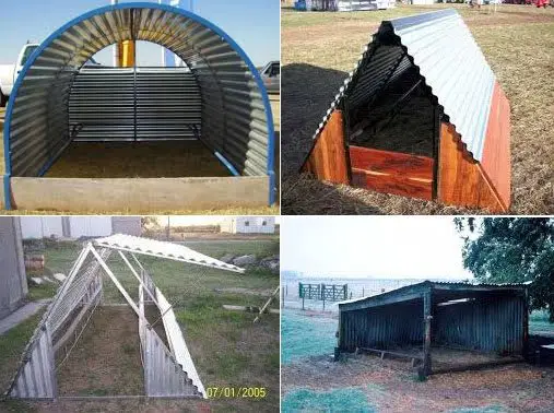 casetas para cerdos
