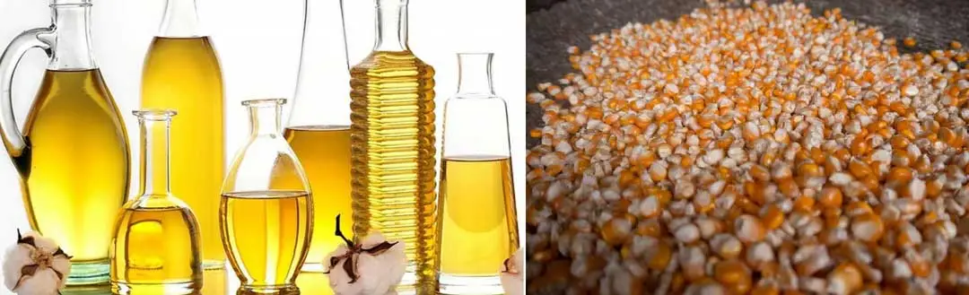 maíz y aceite de maíz para la alimentación