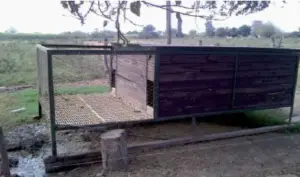 cría de cerdos - instalaciones para cría de cerdos