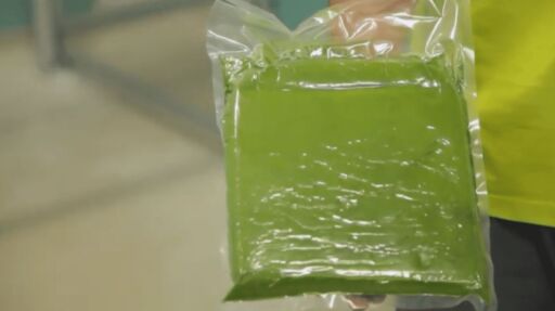 Cultivo de microalgas en 2 minutos