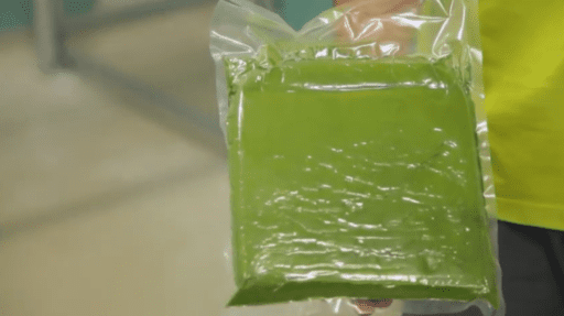 Cultivo de microalgas en 2 minutos
