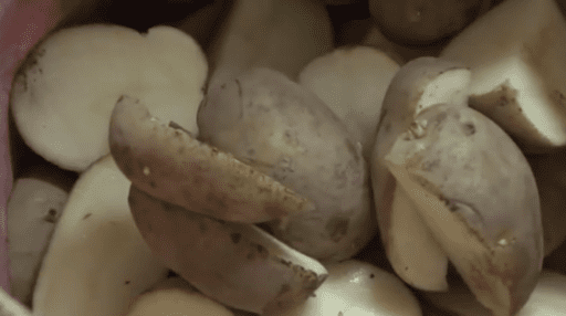 Cultivo de papa en 2 minutos