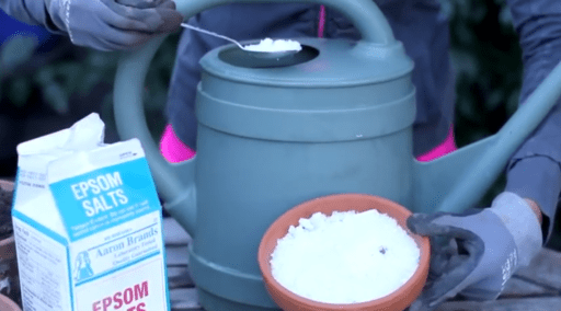 Fertilizantes en 2 minutos