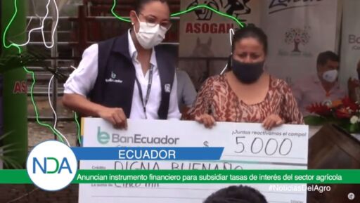 Anuncian instrumento financiero para subsidiar tasas de interés del sector agrícola